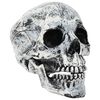 vidaXL Craniu de Halloween SPOOKA 2 buc. Alb 12 x 15 x 17.5 cm Plastic