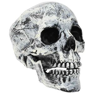 vidaXL Craniu de Halloween SPOOKA 2 buc. Alb 12 x 15 x 17.5 cm Plastic
