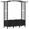 vidaXL Pat Ridicat cu Trellis și Acoperiș Negru 164 x 40 x 144 cm PP