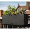 LECHUZA Jardinieră BALCONERA Stone 50 ALL-IN-ONE, negru