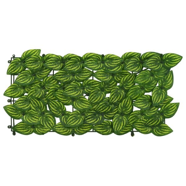 Se afișează imaginea 3 din 6