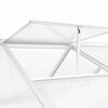 vidaXL Seră, 15,6 m&sup3;, 421x190x195 cm, aluminiu