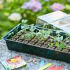 Nature Mini kit propagator, 4 x 16 celule