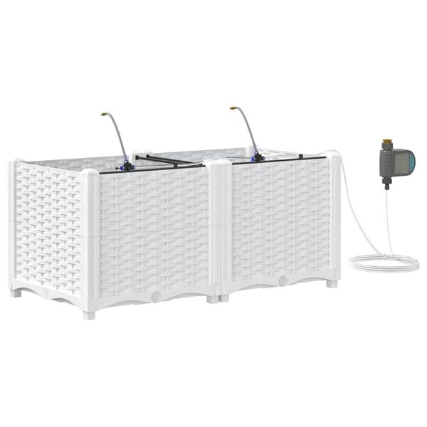 Se afișează imaginea 1 din 10