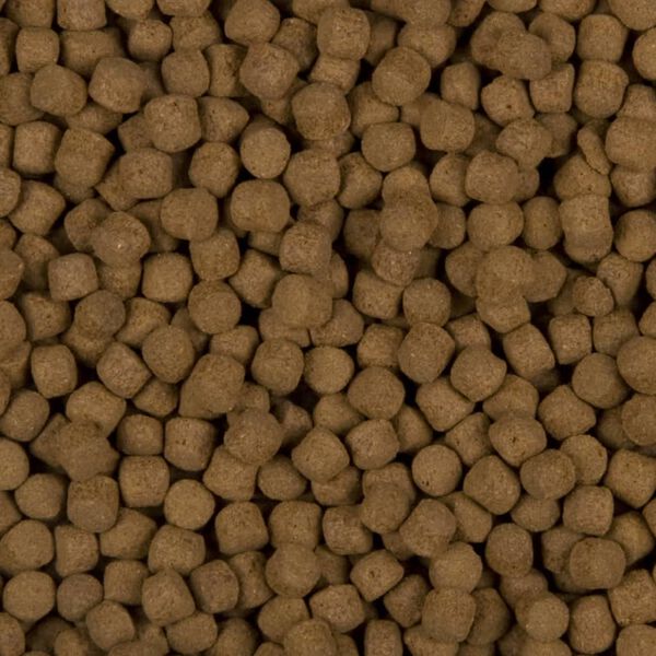 Sanikoi Hrană pentru pești Excellent All-round, 5500 g