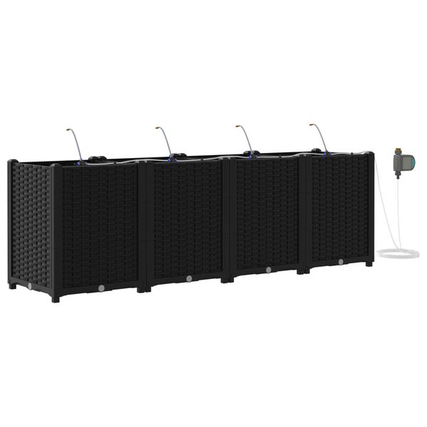 Se afișează imaginea 1 din 6