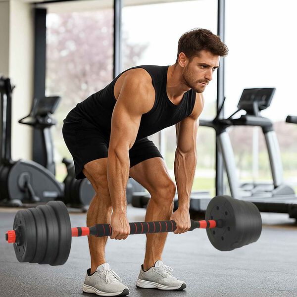 vidaXL Set de Haltere 2 &icirc;n 1 Negru și roșu 121 x 19,5 x 19,5 cm