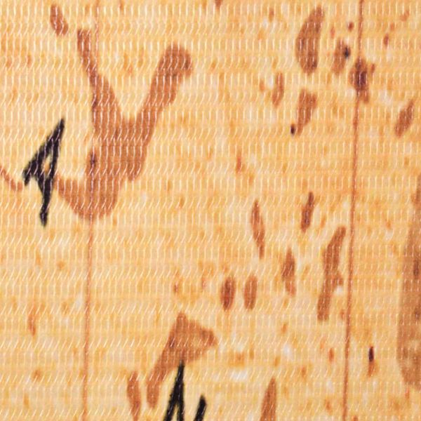 vidaXL Paravan de cameră pliabil, galben 120 x 170 cm, harta lumii