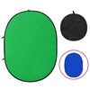 vidaXL Ecran fundal studio foto 2-&icirc;n-1 verde&albastru 200x150 cm oval
