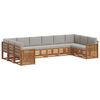 vidaXL Set de canapele de exterior 10 buc. Gri natural și deschis