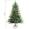 Imagine in miniatură a produsului 11 din 13