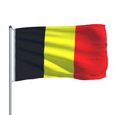 vidaXL Steag Belgia și stâlp din aluminiu, 6 m