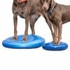 FitPAWS Disc de echilibru pentru animale de companie, albastru, 36 cm