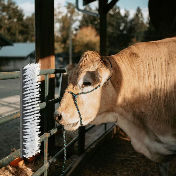 vidaXL Periile pentru vite Negru și Alb 50 x 10 x 6.5 cm