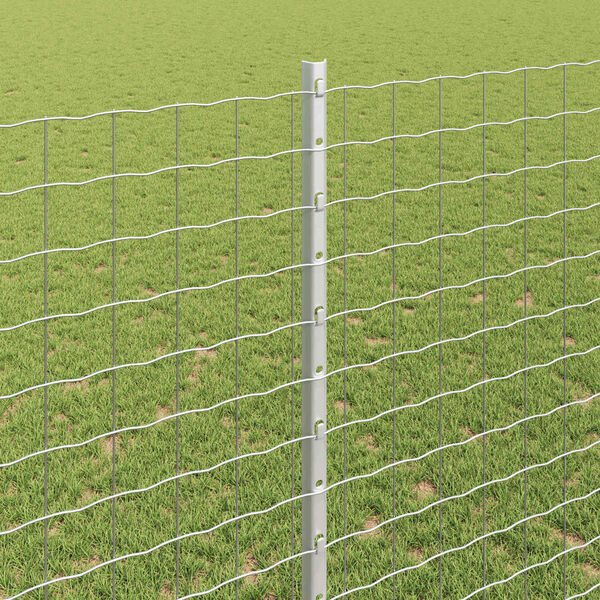 Se afișează imaginea 4 din 7