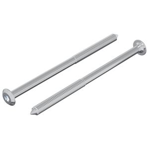 vidaXL Șurub 2 pcs Argintiu M6 x 100 mm Oțel