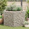 vidaXL Strat &icirc;nălțat gabion hexagonal, 160 x 140 x 100 cm