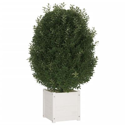 vidaXL Jardinieră de grădină, alb, 40x40x40 cm, lemn masiv de pin