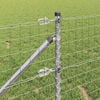Imagine in miniatură a produsului 5 din 17