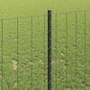 Imagine in miniatură a produsului 4 din 14