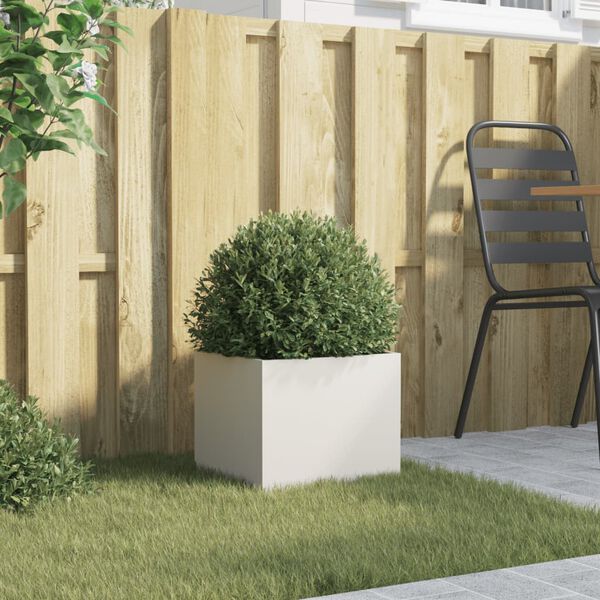 Se afișează imaginea 3 din 11