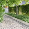 Imagine in miniatură a produsului 2 din 9