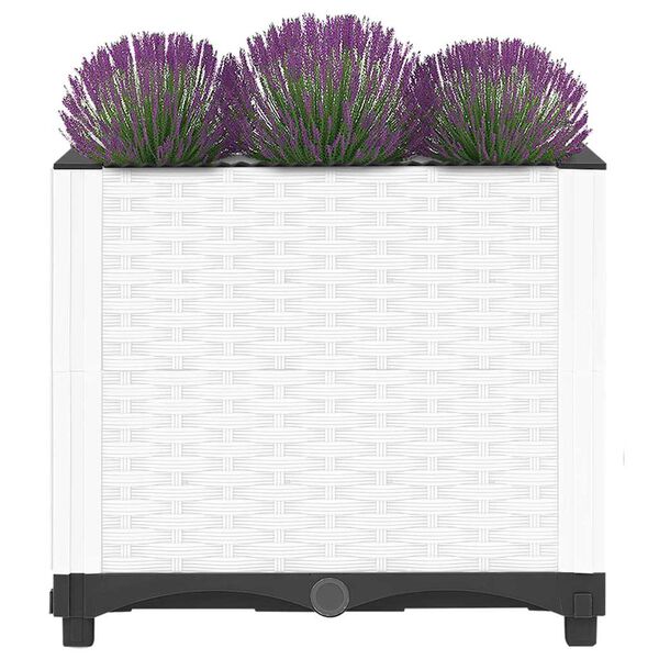 Se afișează imaginea 3 din 8