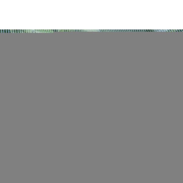 Nature Plasă anti-insecte pentru molia pieliței fructelor, 6030450