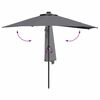 vidaXL Parasol de Grădină Antracit 294 x 150 x 224 cm