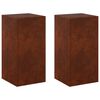 vidaXL Suport pentru plante 2 pcs Ruginit 30 x 30 x 60 cm