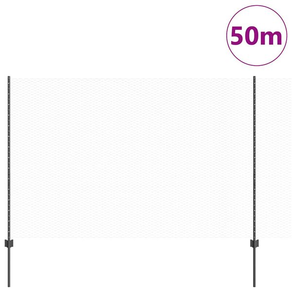 Se afișează imaginea 3 din 14