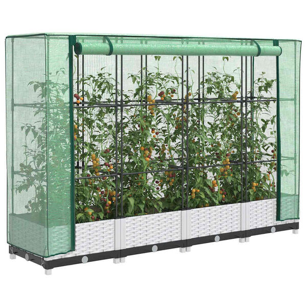 Se afișează imaginea 2 din 9