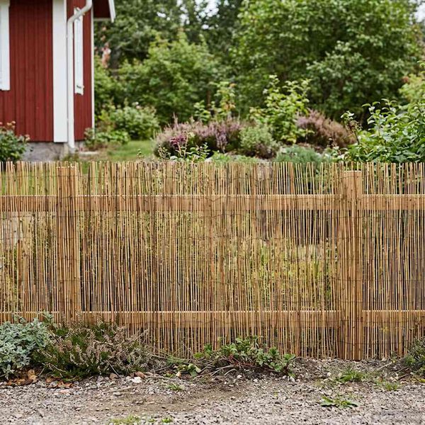 Se afișează imaginea 3 din 7