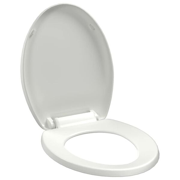 Se afișează imaginea 1 din 13