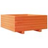 vidaXL Jardinieră grădină, maro ceruit, 60x60x26,5 cm, lemn masiv pin
