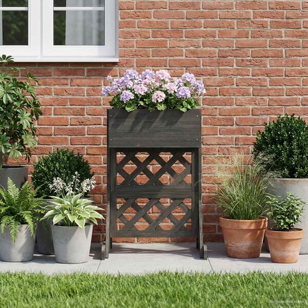 Se afișează imaginea 4 din 10