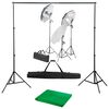 vidaXL Kit studio foto cu set de lumini și fundal
