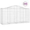vidaXL Coșuri gabion arcuite 40 buc, 200x50x100/120cm, fier galvanizat