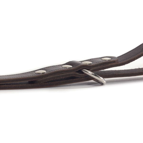 Beeztees Lesă de antrenament, maro, 200x1,2 cm, piele, 736401