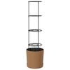 vidaXL Cultivator de roșii Naturo ECO &Oslash; 39 x 139 cm WPC