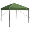 vidaXL Set Cort pentru Camping 2 pcs Verde Tafetă și Material