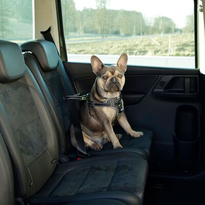 Kerbl Ham de siguranță auto animale de companie, negru, 68-85 cm