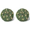 vidaXL Arbuști ornamentali artificiali, 27 cm cu LED-uri solare, 2 buc