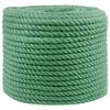 vidaXL Fr&acirc;nghie din Jute Verde 100% jute Tossa