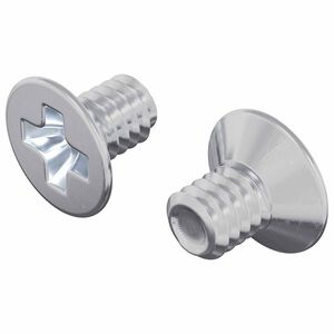 vidaXL Șuruburi cu cap &icirc;ngropat 2 pcs Argintiu M4 x 6 mm Oțel