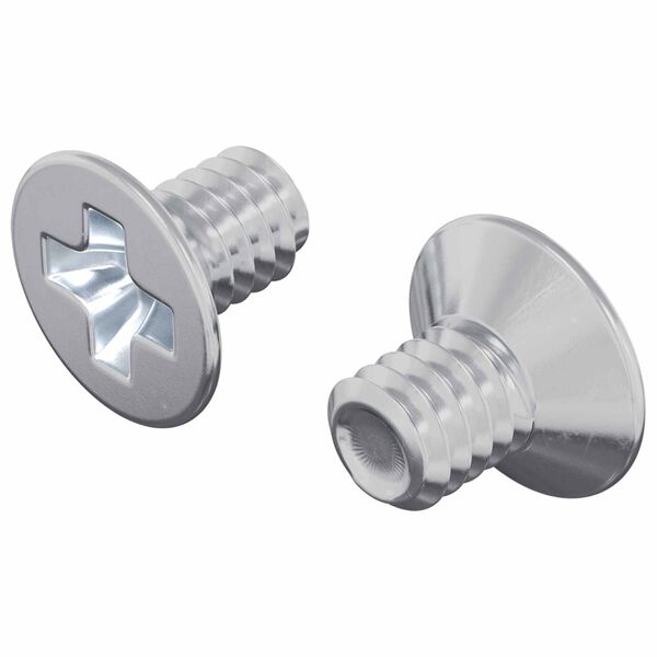 vidaXL Șuruburi cu cap &icirc;ngropat 2 pcs Argintiu M4 x 6 mm Oțel