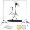 vidaXL Kit studio foto cu set de lumină, fundal și reflector