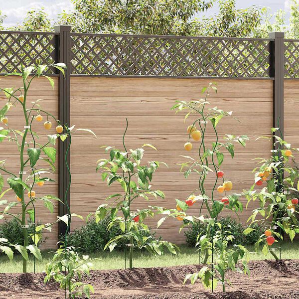 Se afișează imaginea 2 din 11