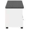 vidaXL Bancă pentru hol cu pernă cu sertar Alb 100 x 38 x 46 cm