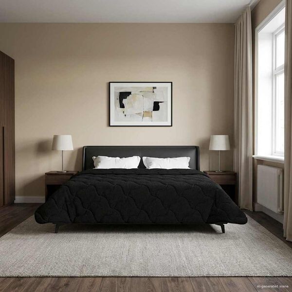 Se afișează imaginea 2 din 10